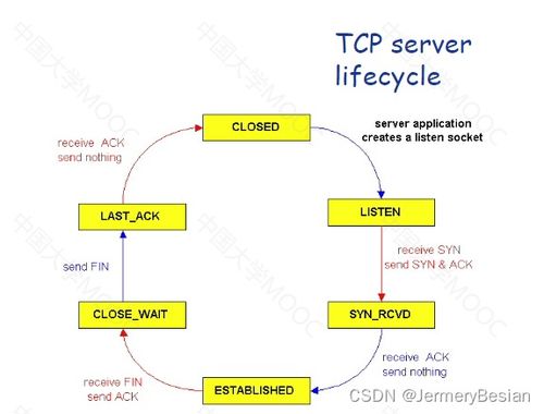 哈工大计算机网络传输层协议详解之 TCP协议
